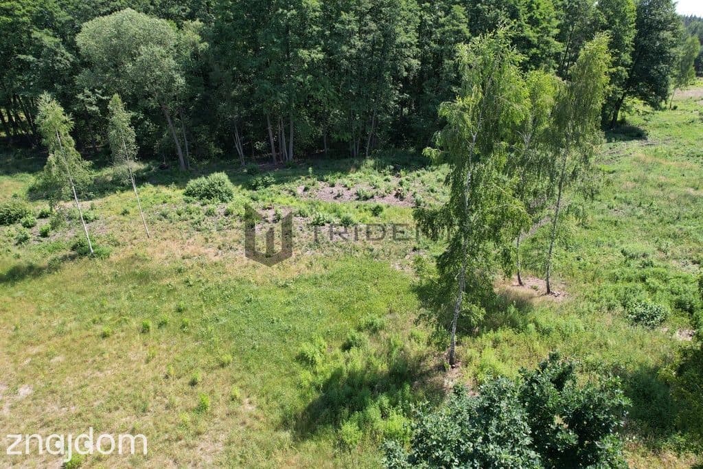 Domek całoroczny z prywatnym laskiem! - Adamów - zdjęcie 20