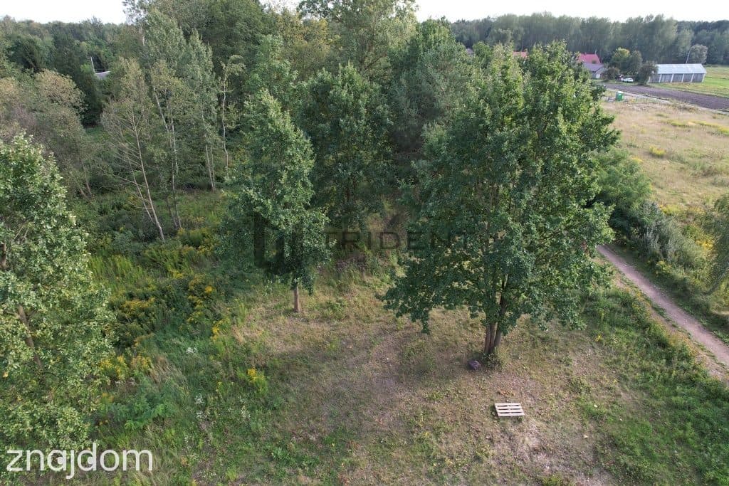 Działka Budowlana 1 500 m2, Błonie Gmina Prażmów! - zdjęcie 2
