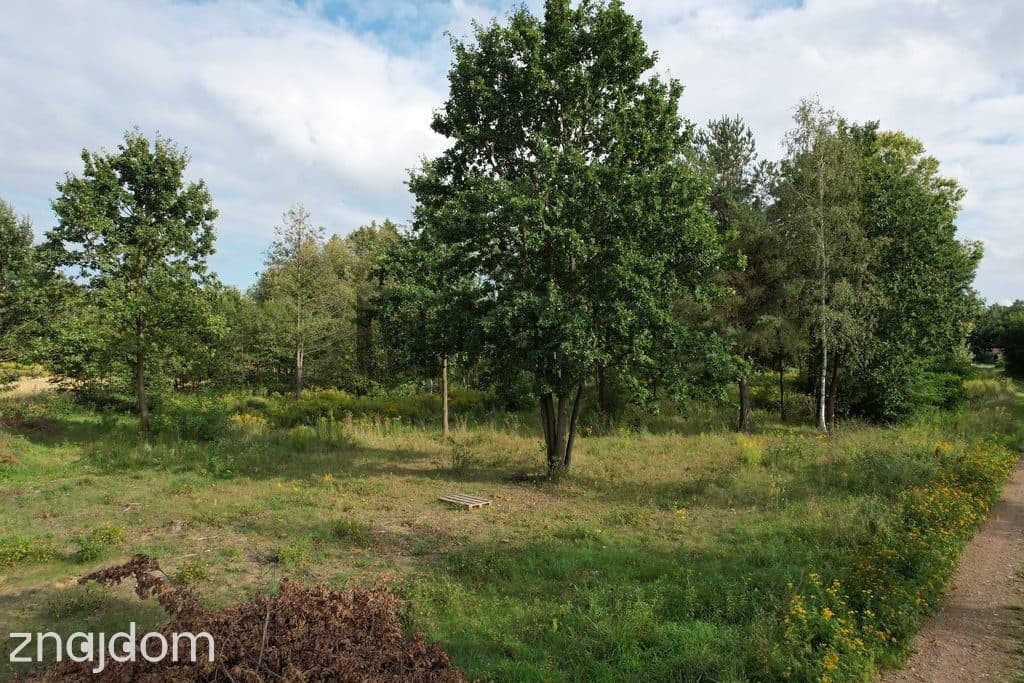 Działka Budowlana 1 500 m2, Błonie Gmina Prażmów!