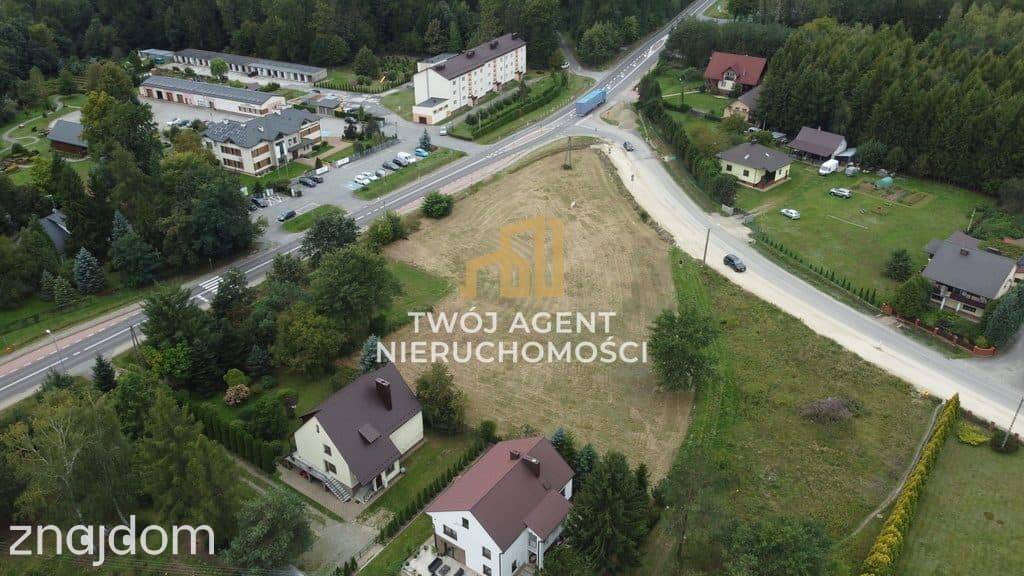 Działka inwestycyjna świerczów 26 ar - zdjęcie 2