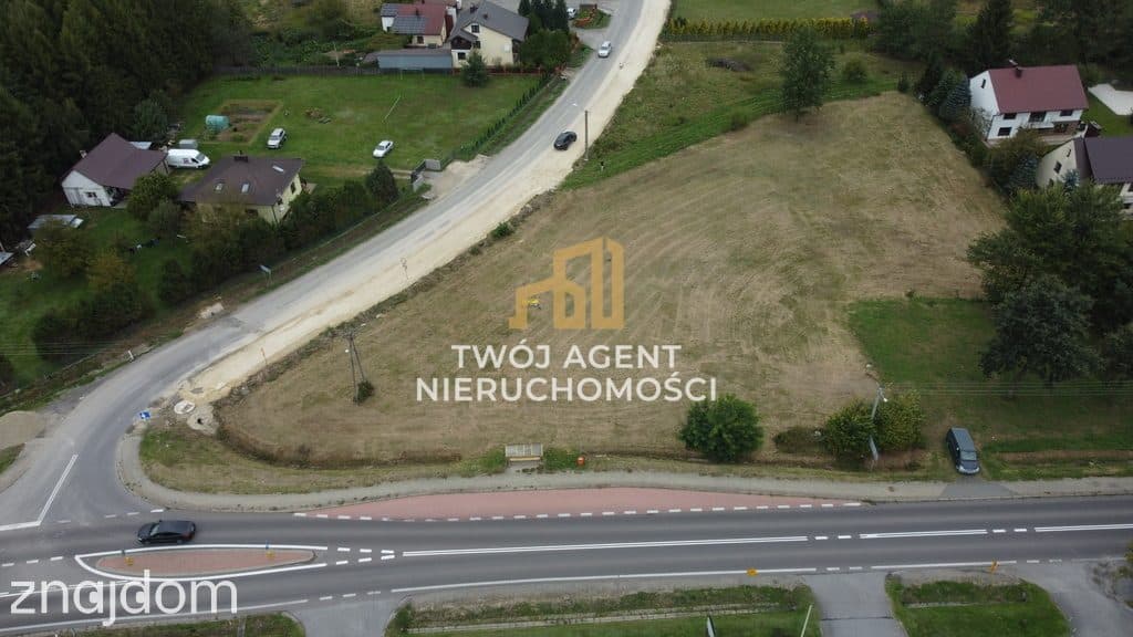Działka inwestycyjna świerczów 26 ar - zdjęcie 4