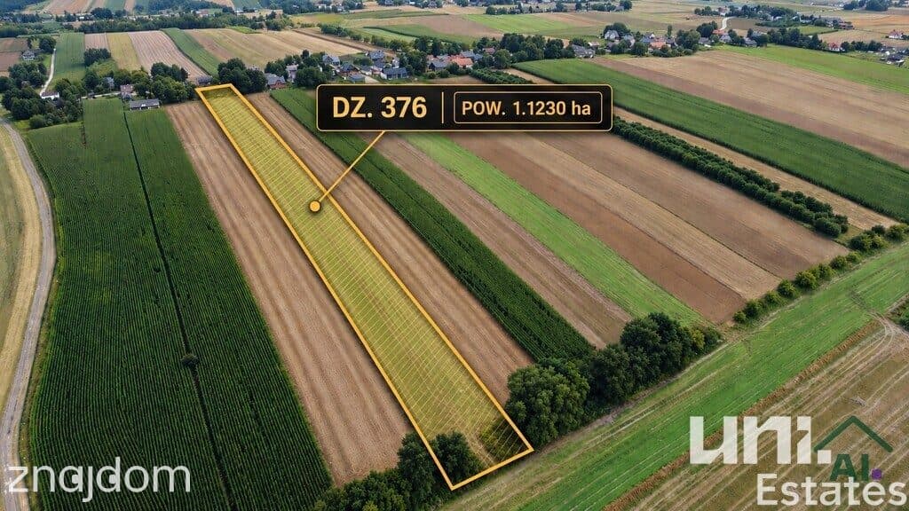 Gospodarstwo rolne 1 ha + dom | gm. Słomniki - zdjęcie 2