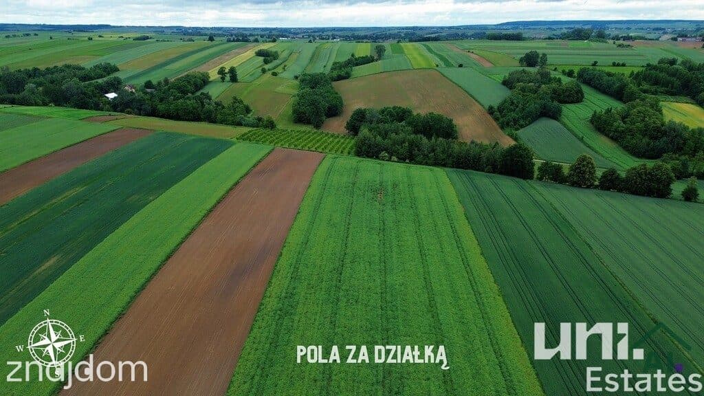 Działka budowlana-usługowa-rolna RZEŻUŚNIA, GOŁCZA - zdjęcie 7