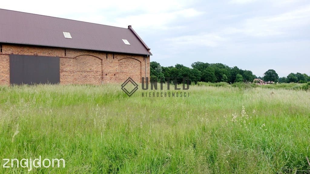 Działka w Prężycach niedaleko Wilkszyna - zdjęcie 4
