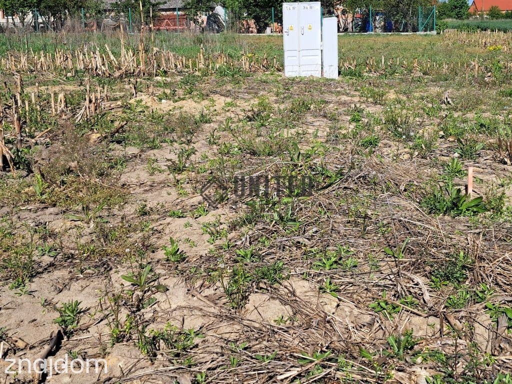 Działki w Jagoszycach niedaleko Prusic - zdjęcie 10