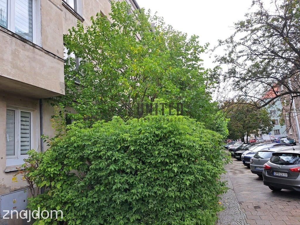 Okolice ulicy Daszyńskiego Rozkład - zdjęcie 16