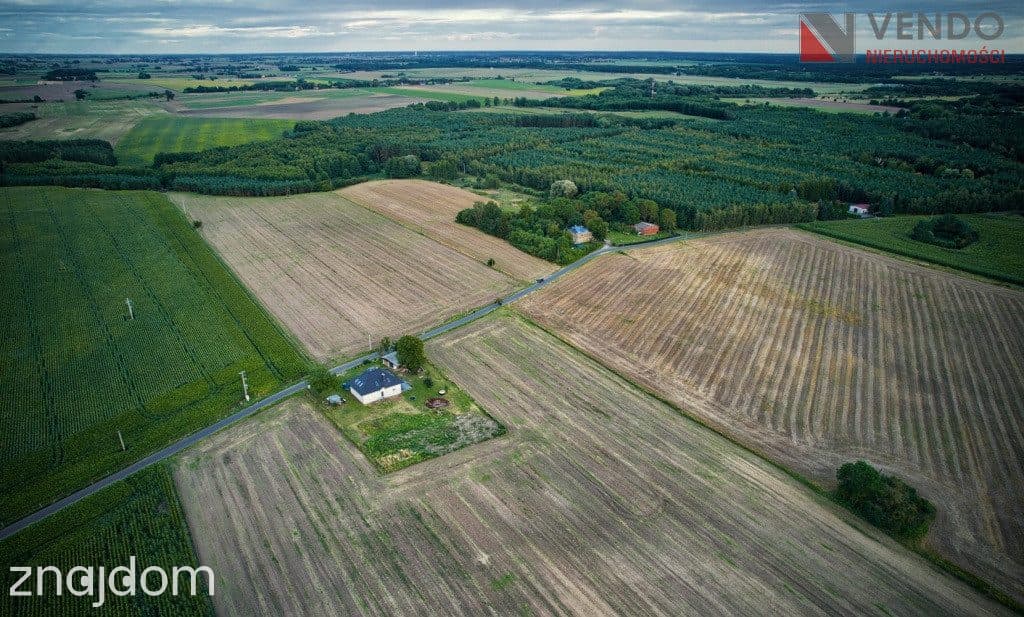 Turostówko - Działki z WZ - pow od 795 do 863 m² - zdjęcie 5