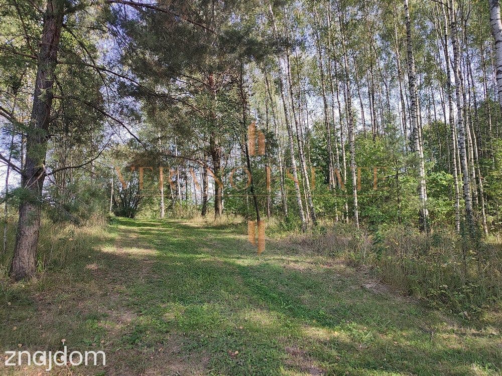 DZIAŁKA ROLNA/INWESTYCYJNA| 6,58HA |BLISKO JEZIORA - zdjęcie 4
