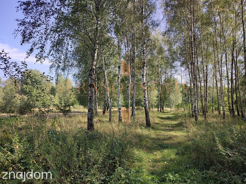 DZIAŁKA ROLNA/INWESTYCYJNA| 6,58HA |BLISKO JEZIORA - zdjęcie 5
