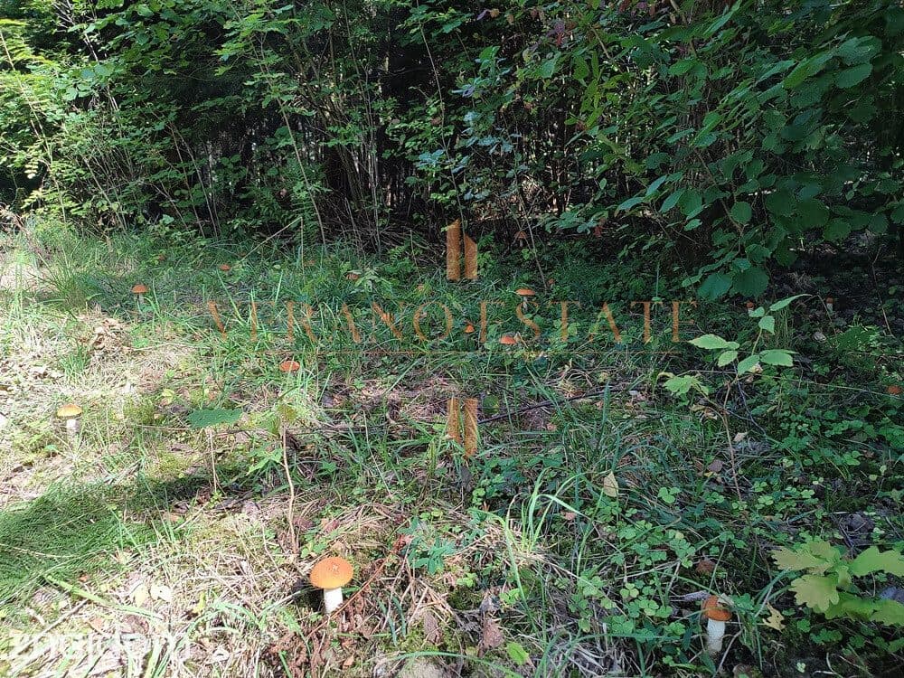 DZIAŁKA ROLNA/INWESTYCYJNA| 6,58HA |BLISKO JEZIORA - zdjęcie 6