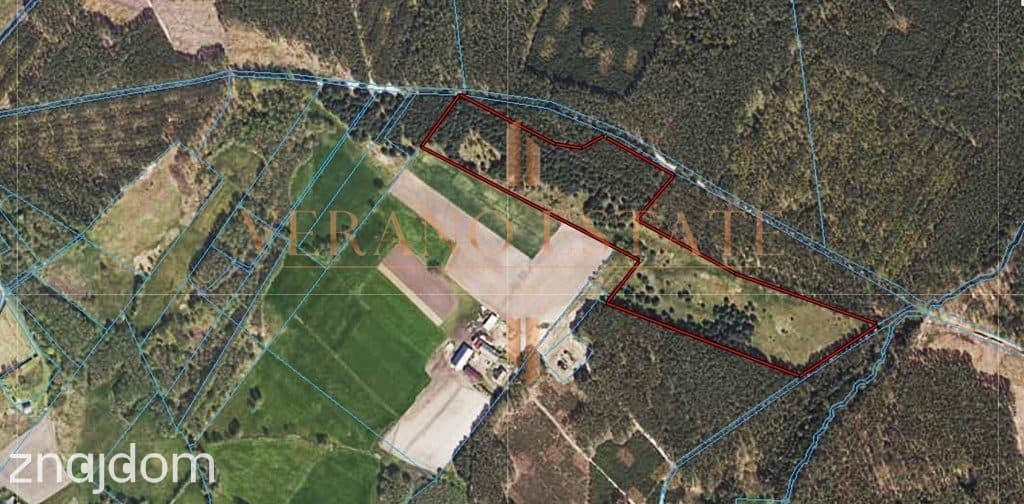 DZIAŁKA ROLNA/INWESTYCYJNA| 6,58HA |BLISKO JEZIORA - zdjęcie 8