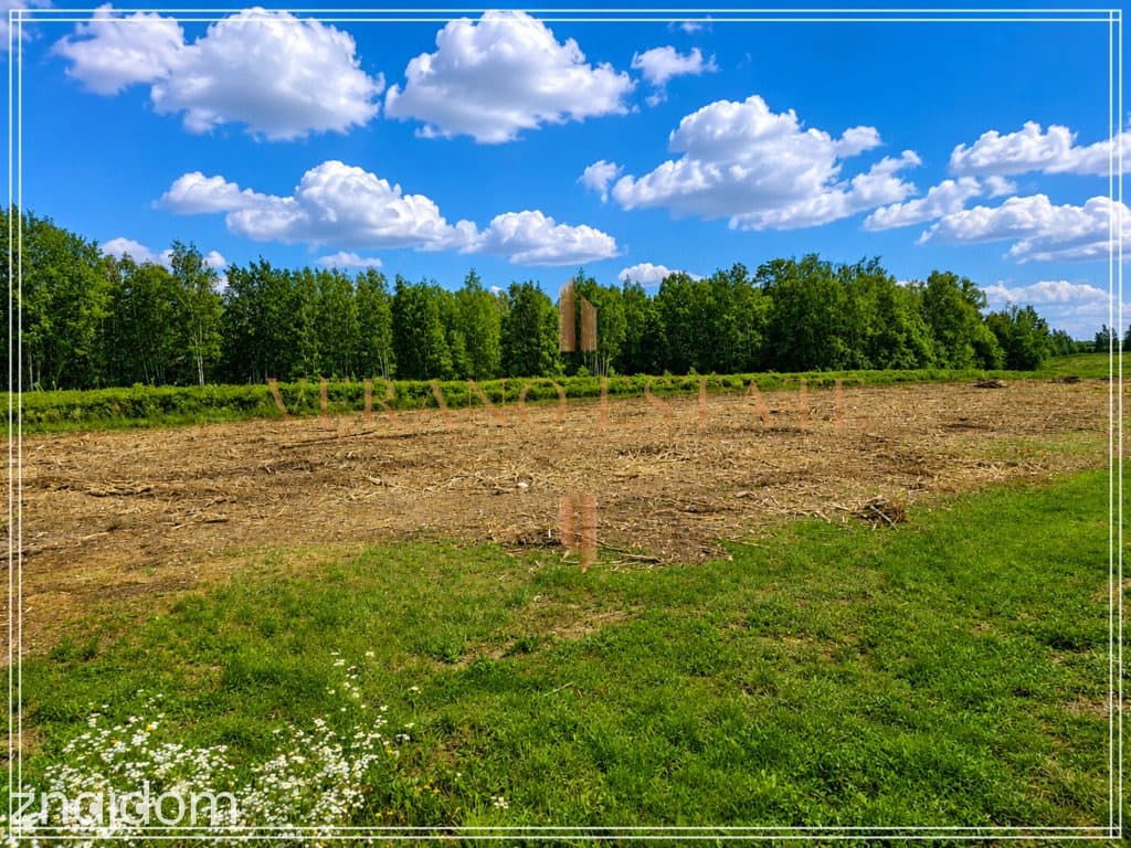 2,28 HA Z POTENCJAŁEM PODZIAŁU | BLISKO S8 - zdjęcie 5