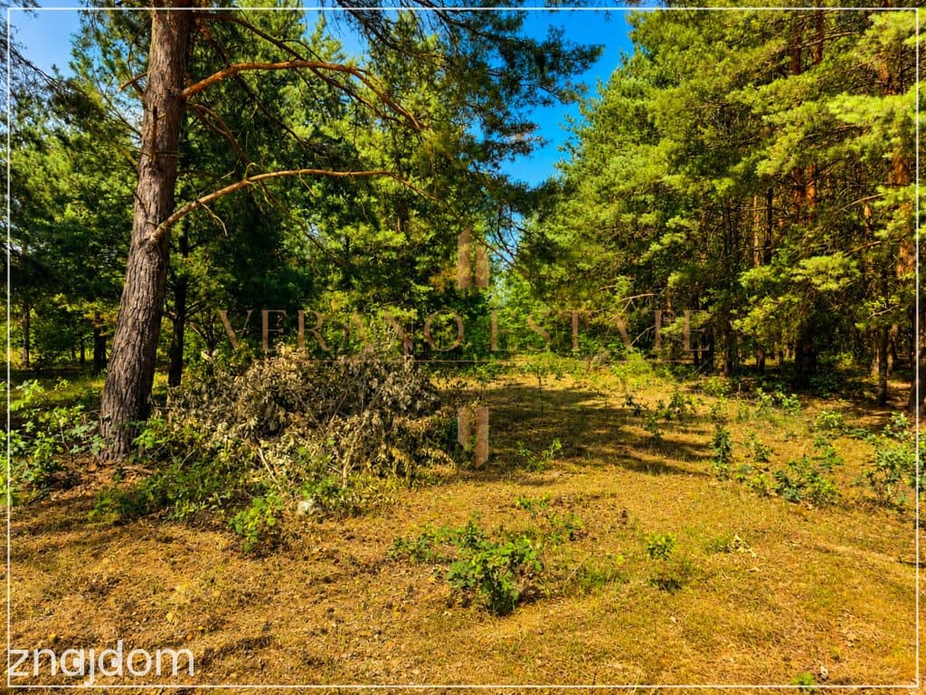 Działka budowlana w otulinie lasu | 1243m2 - zdjęcie 4