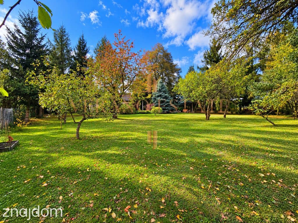 Leśny azyl 100 km od Warszawy – 5624 m² - zdjęcie 15