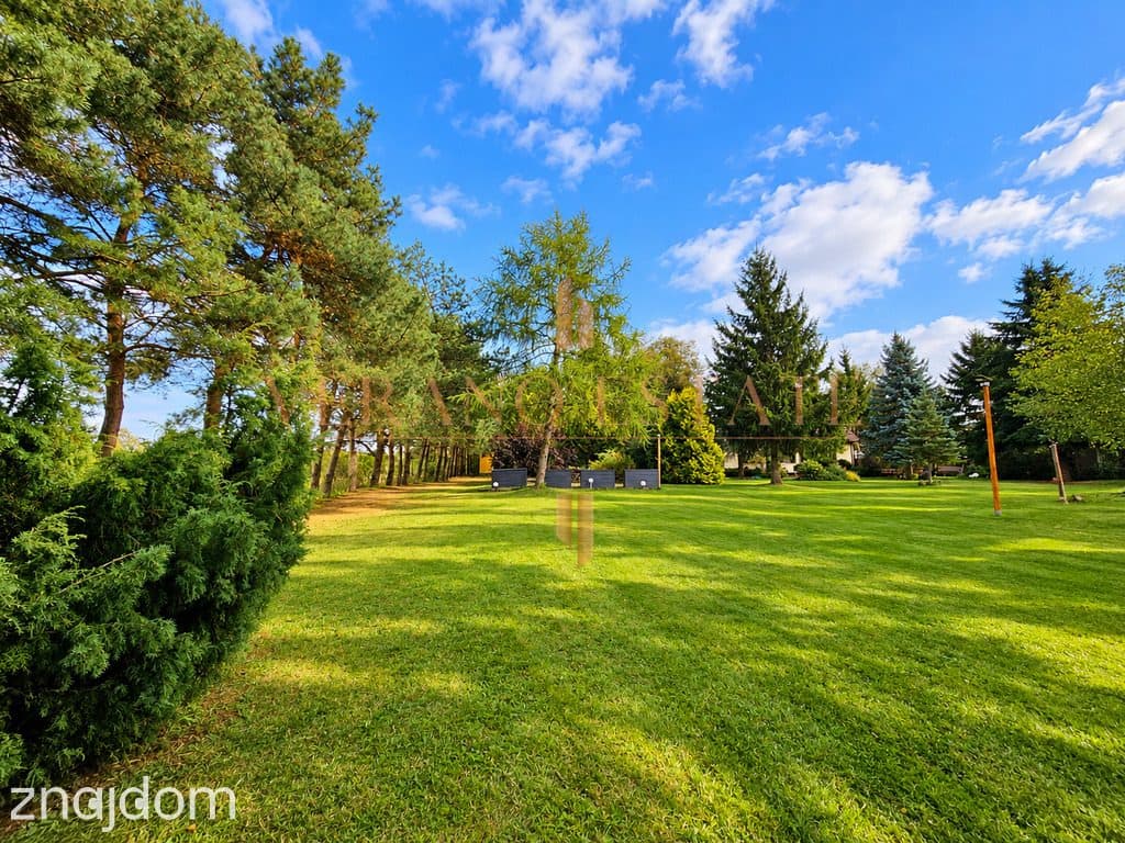Leśny azyl 100 km od Warszawy – 5624 m² - zdjęcie 16