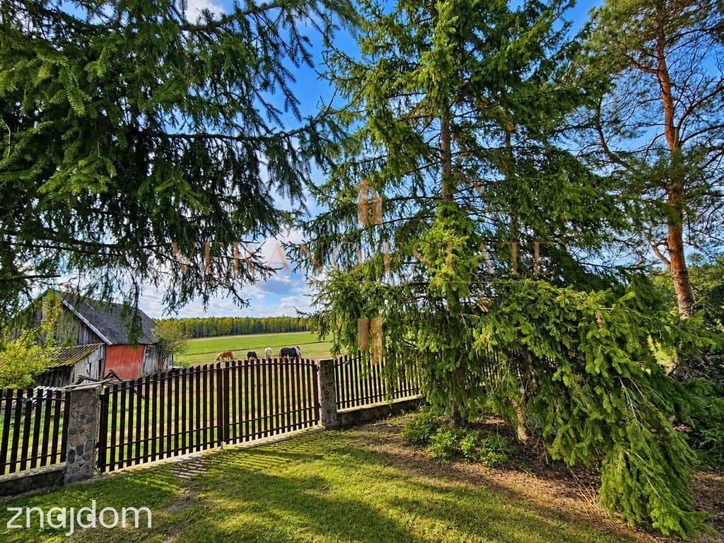 Leśny azyl 100 km od Warszawy – 5624 m² - zdjęcie 20