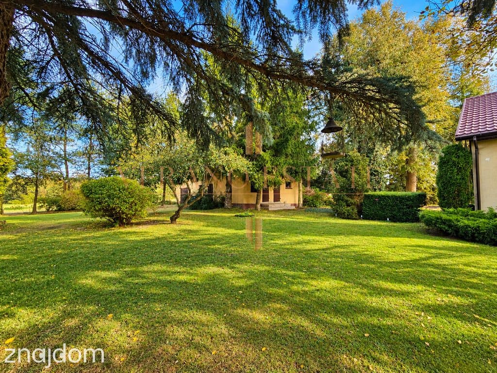 Leśny azyl 100 km od Warszawy – 5624 m² - zdjęcie 17