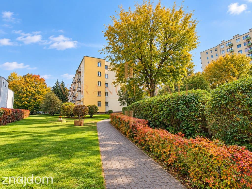 2 POKOJE | 37,5 M² | ODDZIELNA KUCHNIA | WARSZAWA, WAWER - zdjęcie 16