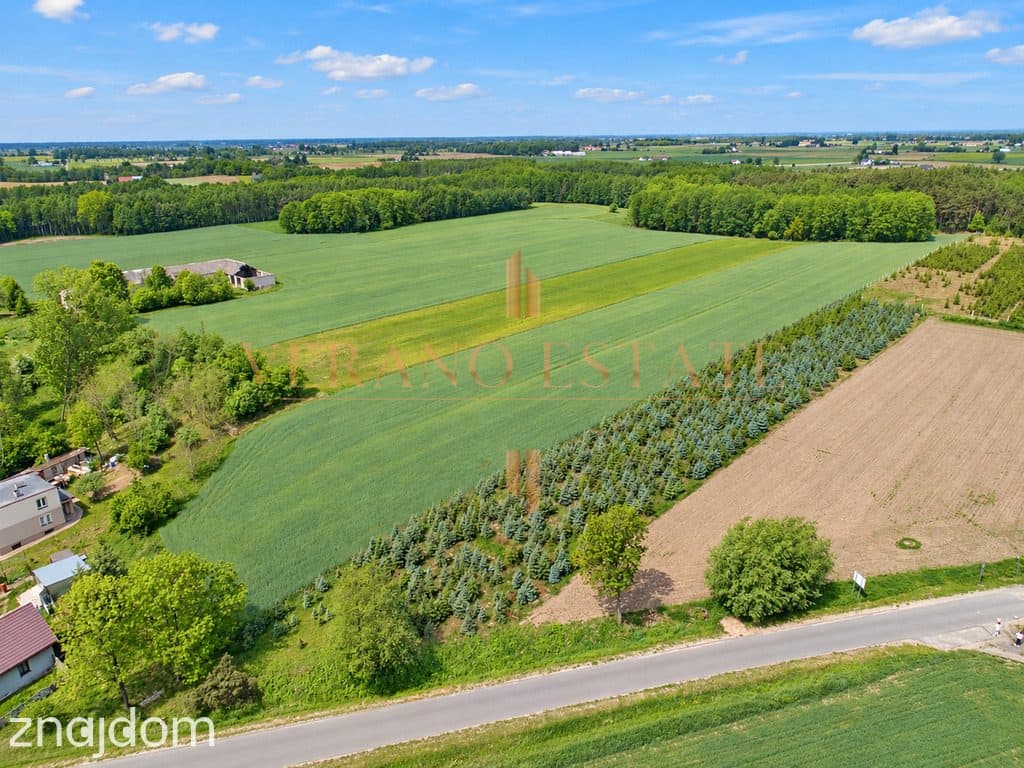 Tłuchówek | 1900 m² | warunki zabudowy - zdjęcie 2