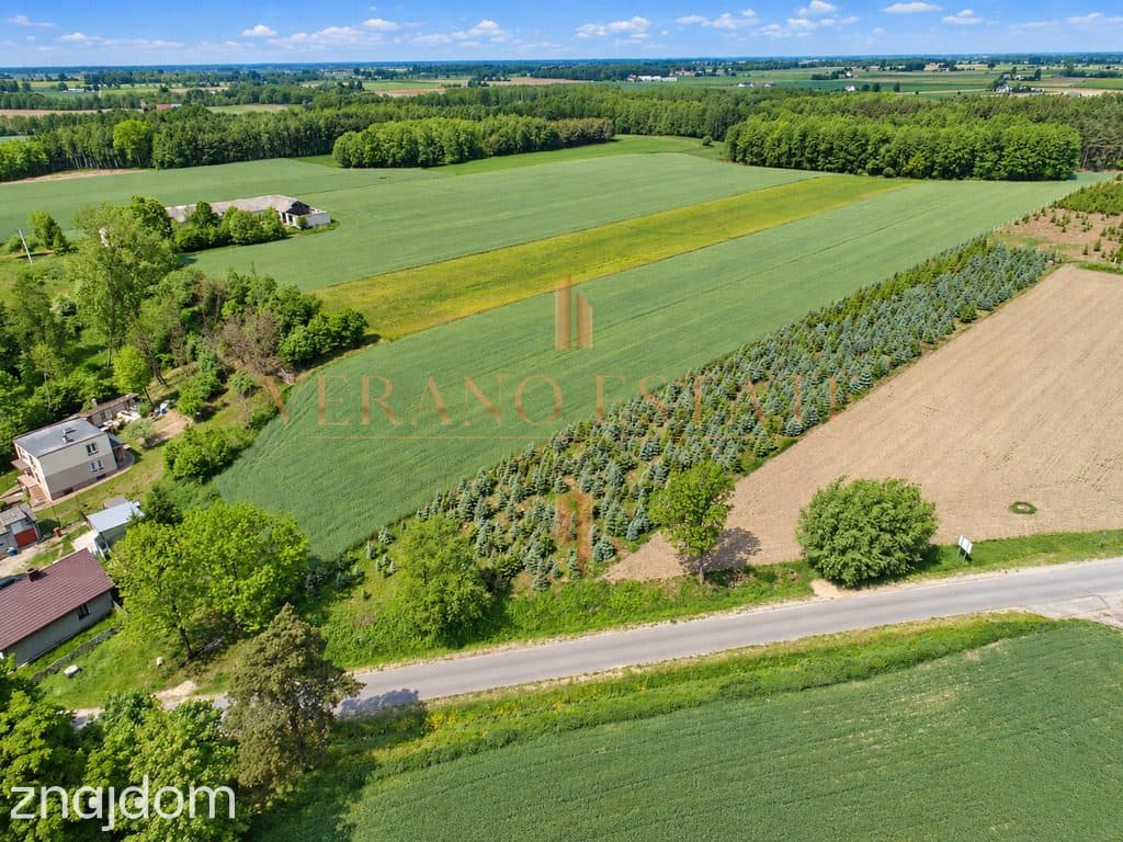 Tłuchówek | 1900 m² | warunki zabudowy - zdjęcie 4