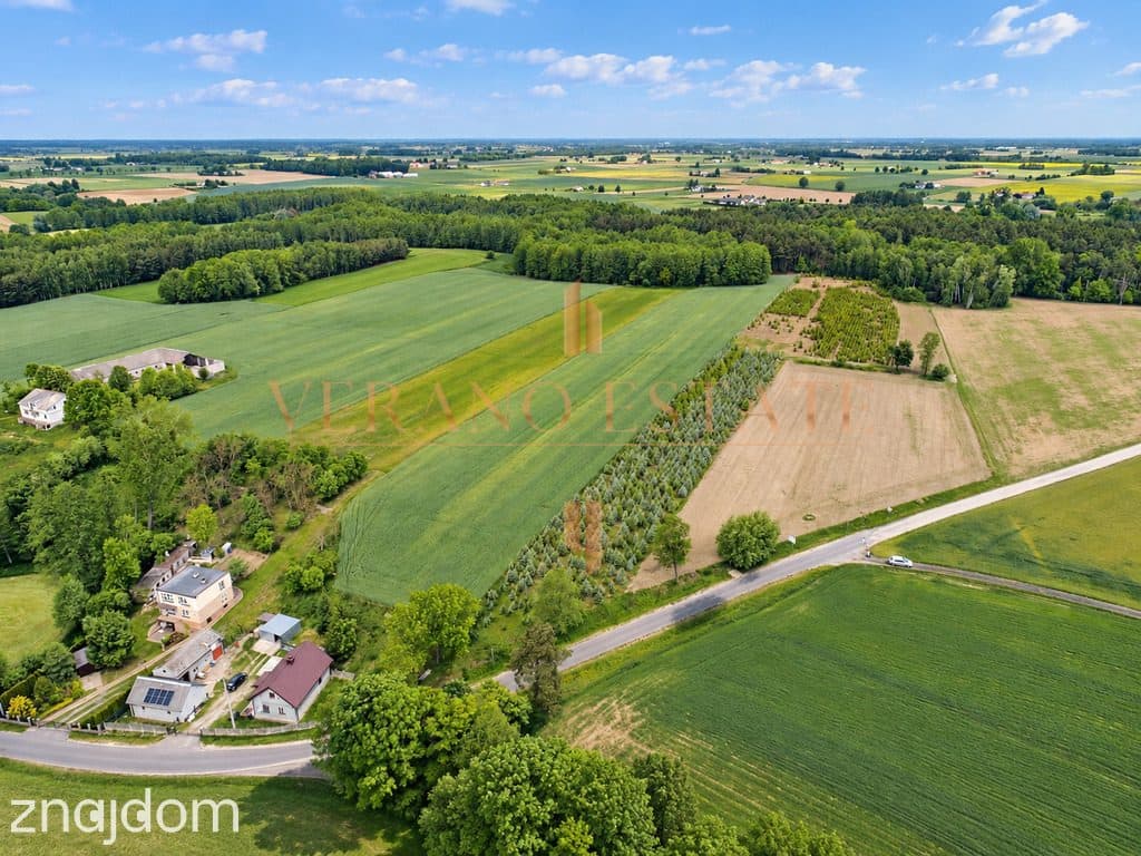 Tłuchówek | 1900 m² | warunki zabudowy - zdjęcie 6