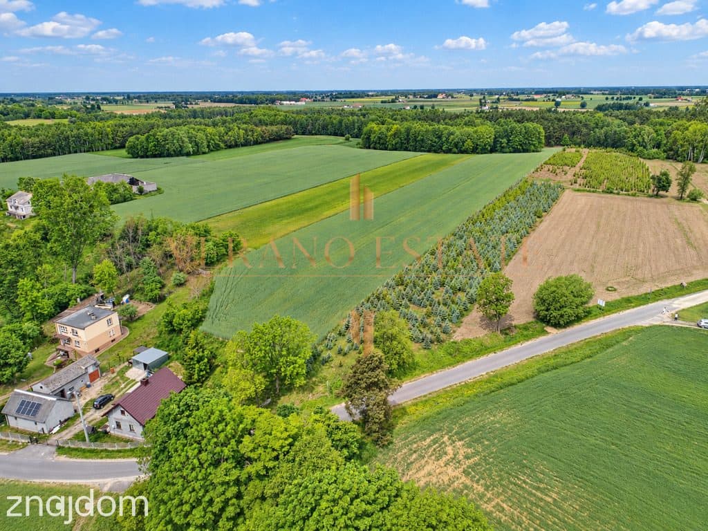 Tłuchówek | 1900 m² | warunki zabudowy - zdjęcie 7