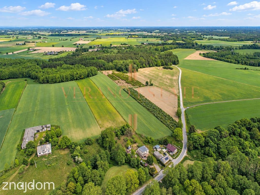 Tłuchówek | 1900 m² | warunki zabudowy - zdjęcie 8