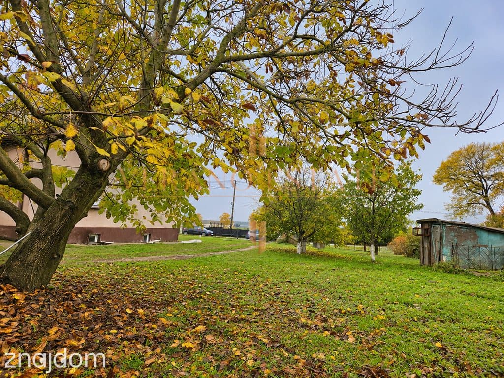 Dom 120m² z potencjałem i dużą działką – Dąbrowa - zdjęcie 17