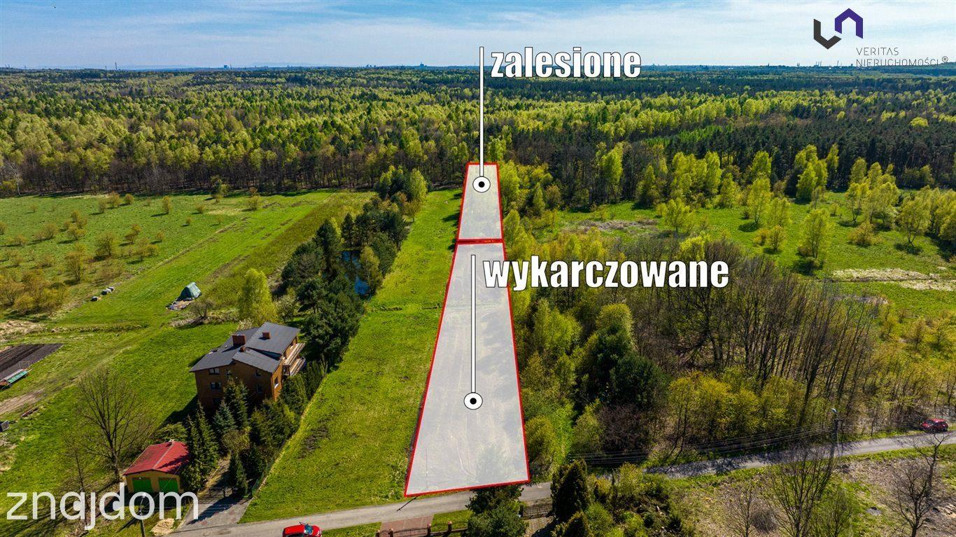 DZIAŁKA POD LASEM. MEDIA W DRODZE. - zdjęcie 4