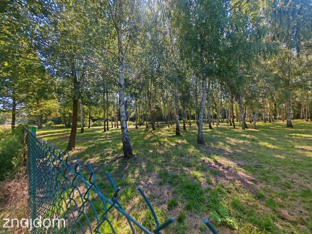 Madajka raj na krańcu świata - zdjęcie 4
