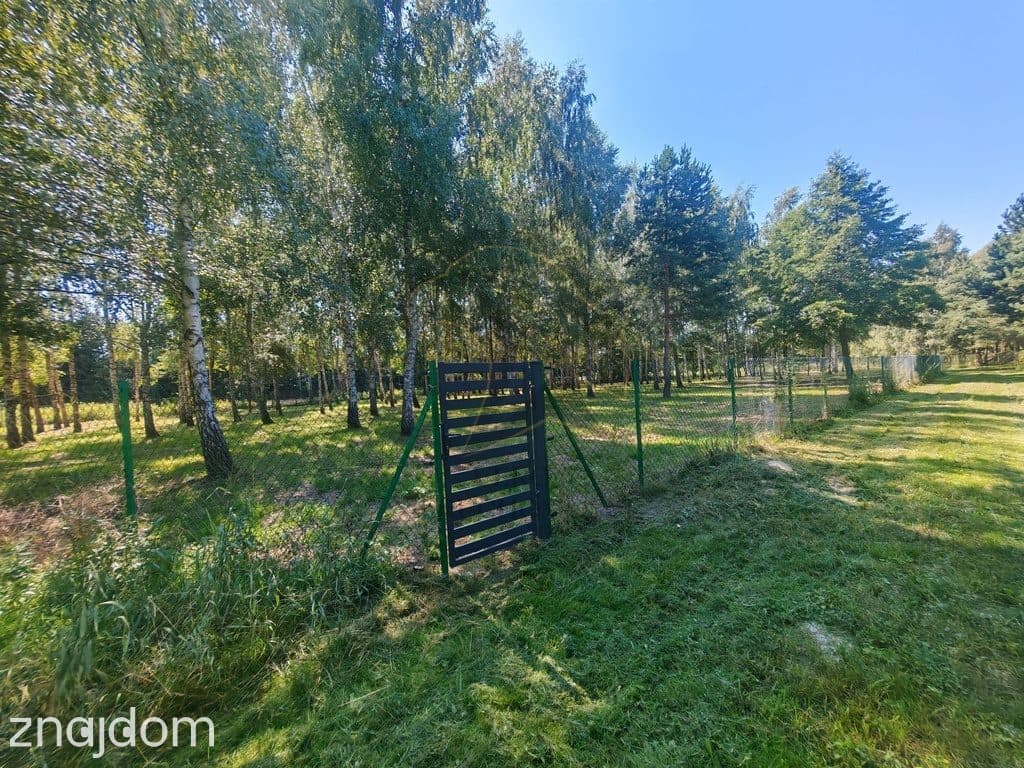 Madajka raj na krańcu świata - zdjęcie 2