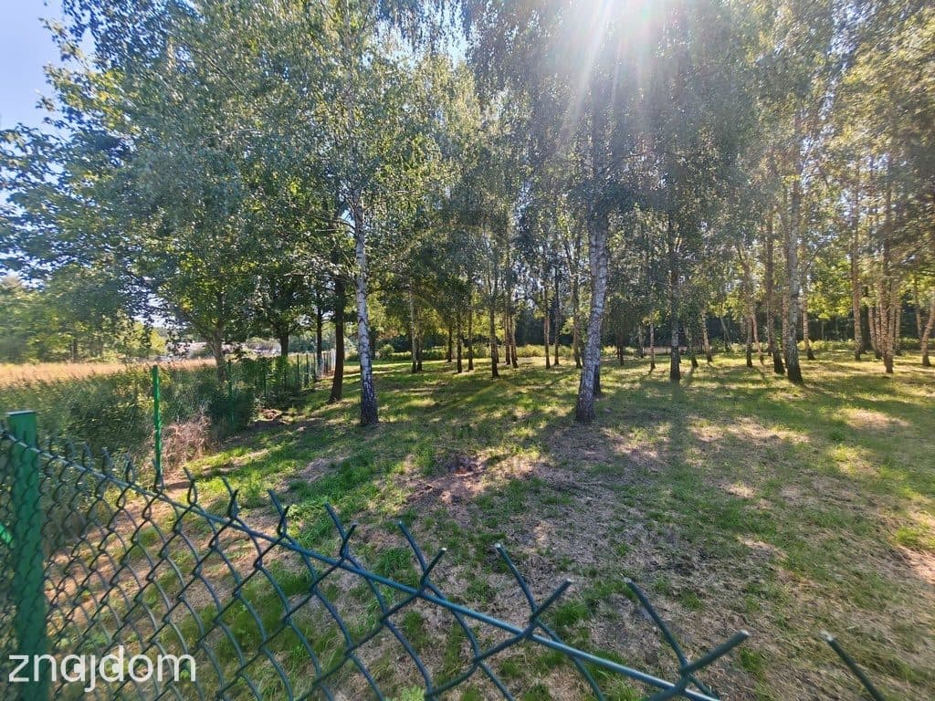 Madajka raj na krańcu świata - zdjęcie 9