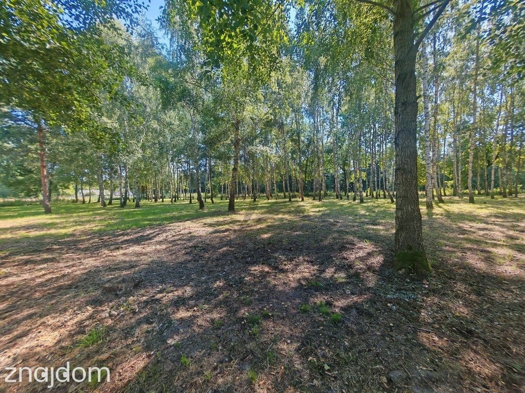 Madajka raj na krańcu świata - zdjęcie 11