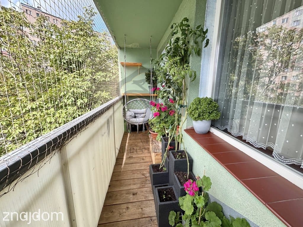 Kwiatowe 4 pokoje na Gaju! - zdjęcie 8