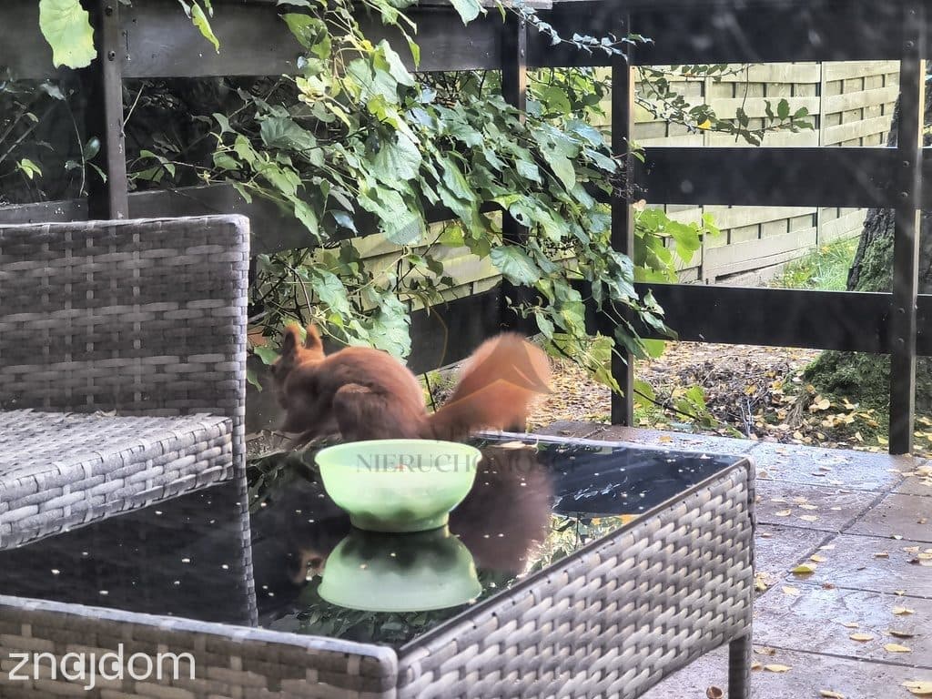 Połowa z głowy, połowa dla Ciebie -4-piętrowy plac zabaw na Olechowie - zdjęcie 5