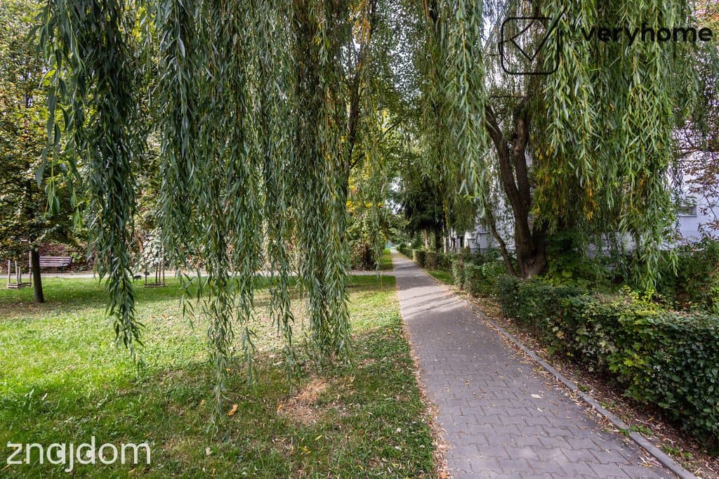 Do wejścia, osobna duża kuchnia, widna loggia - zdjęcie 14