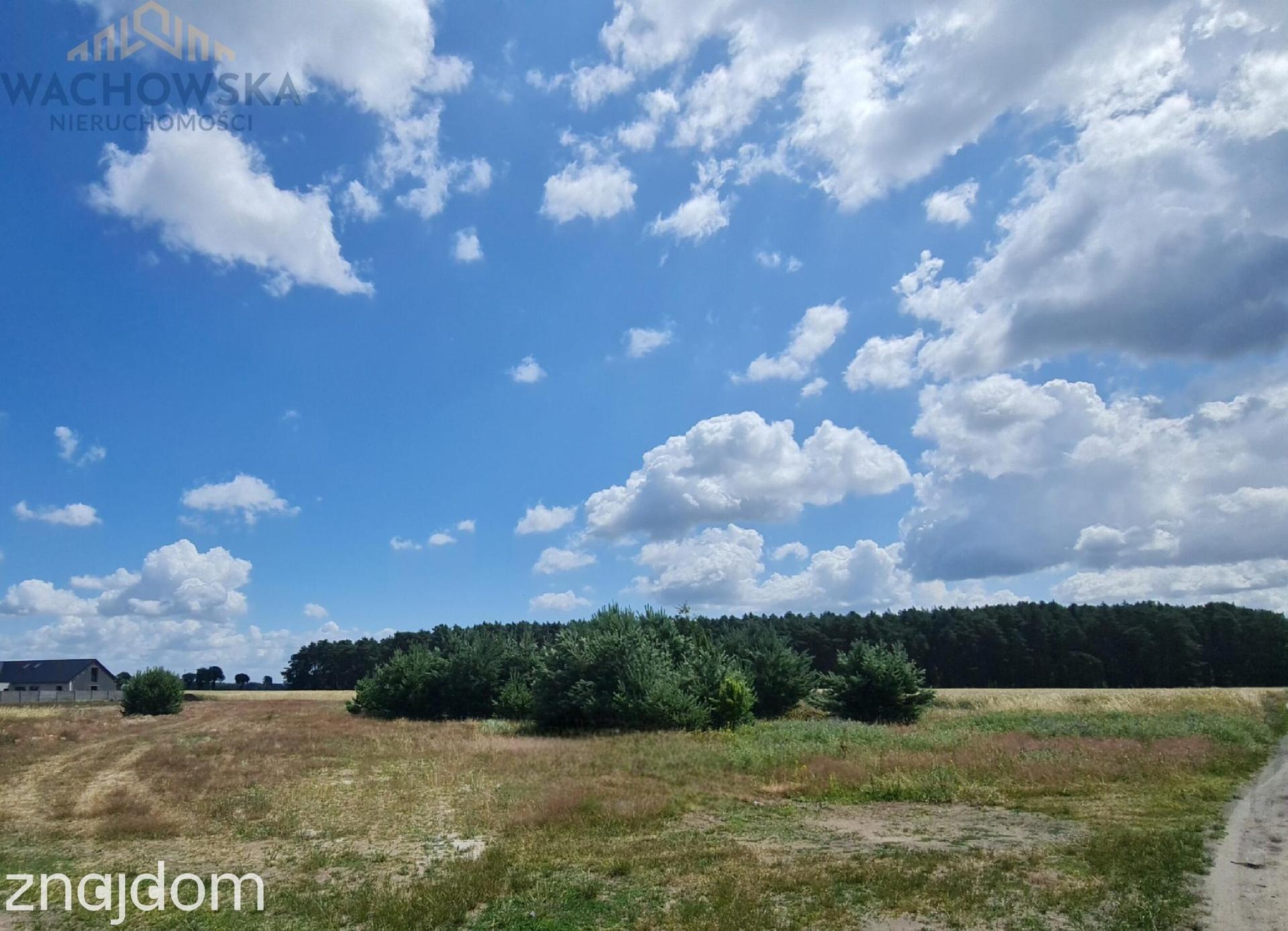 Działka 3053m2 - Głogusz gm. Sulechów - zdjęcie 4
