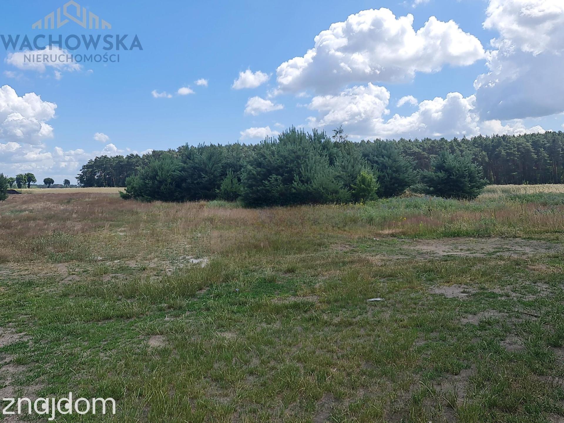 Działka 3053m2 - Głogusz gm. Sulechów - zdjęcie 5