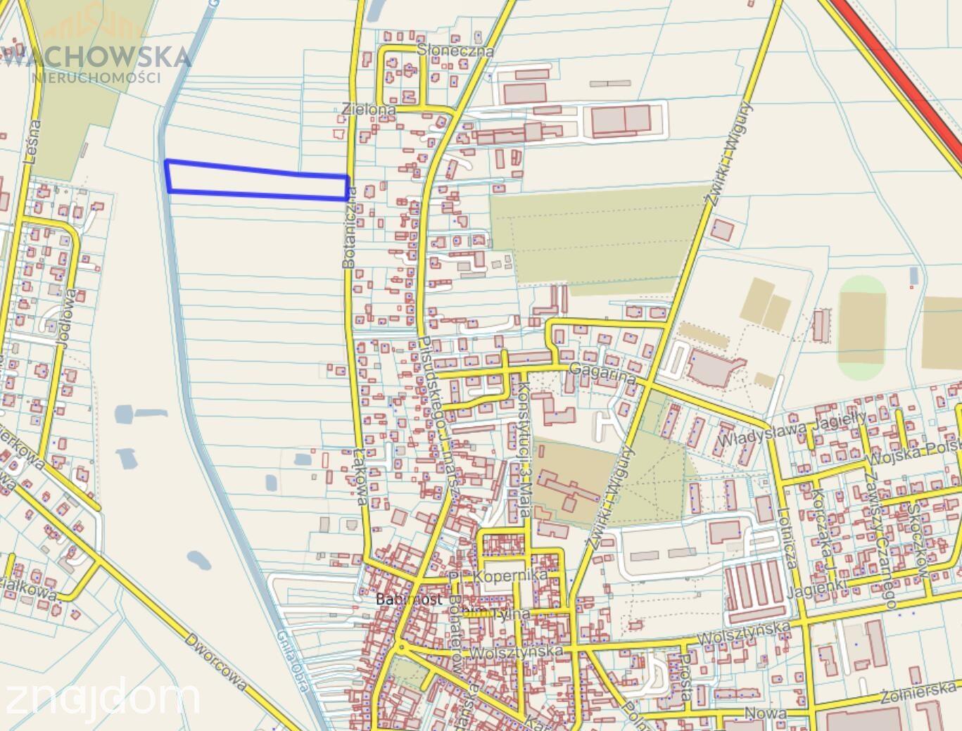 Działka 9900m2 - Babimost - zdjęcie 3