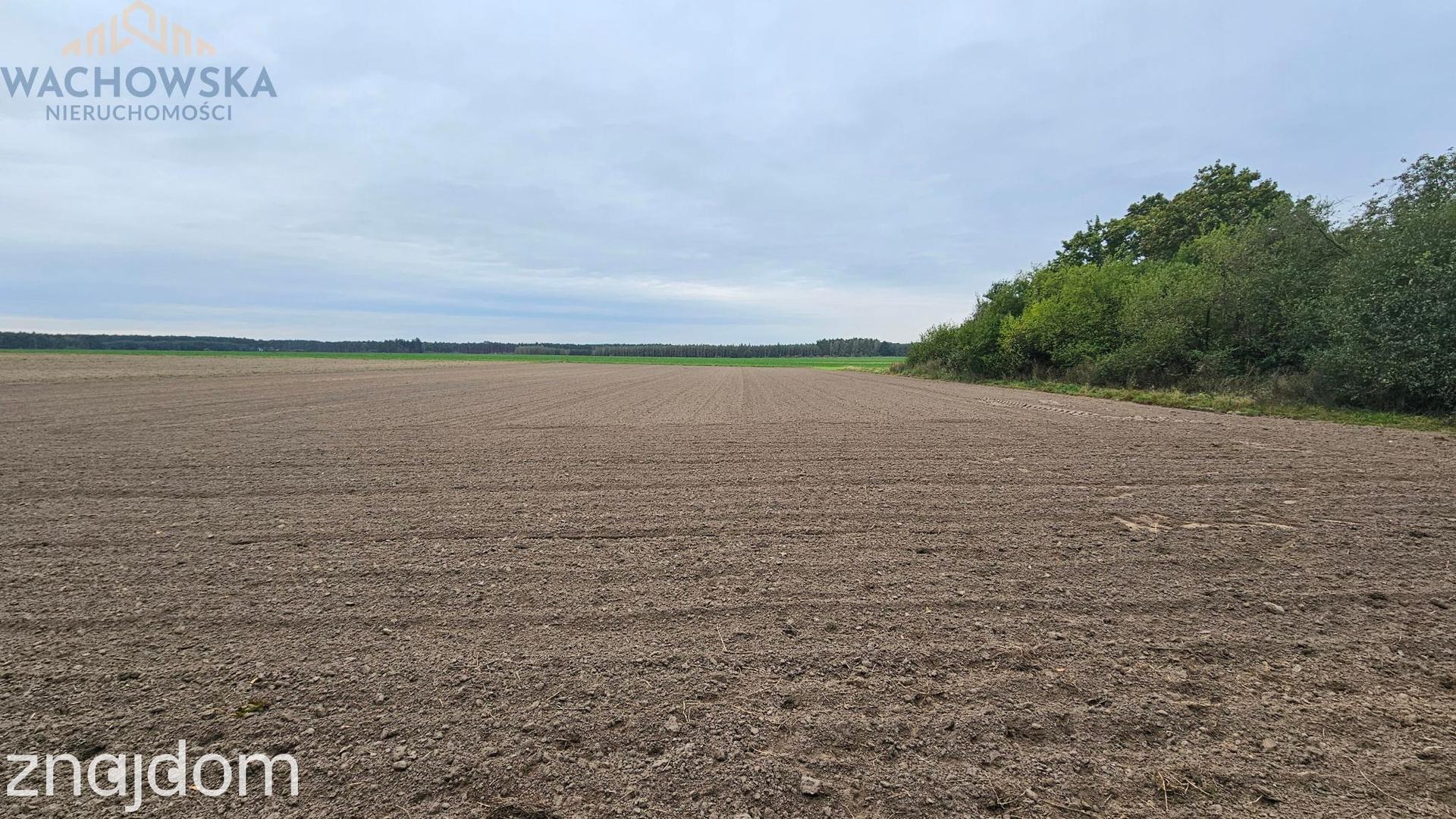 Działka budowlana - Podła Góra, gm. Skąpe - zdjęcie 2
