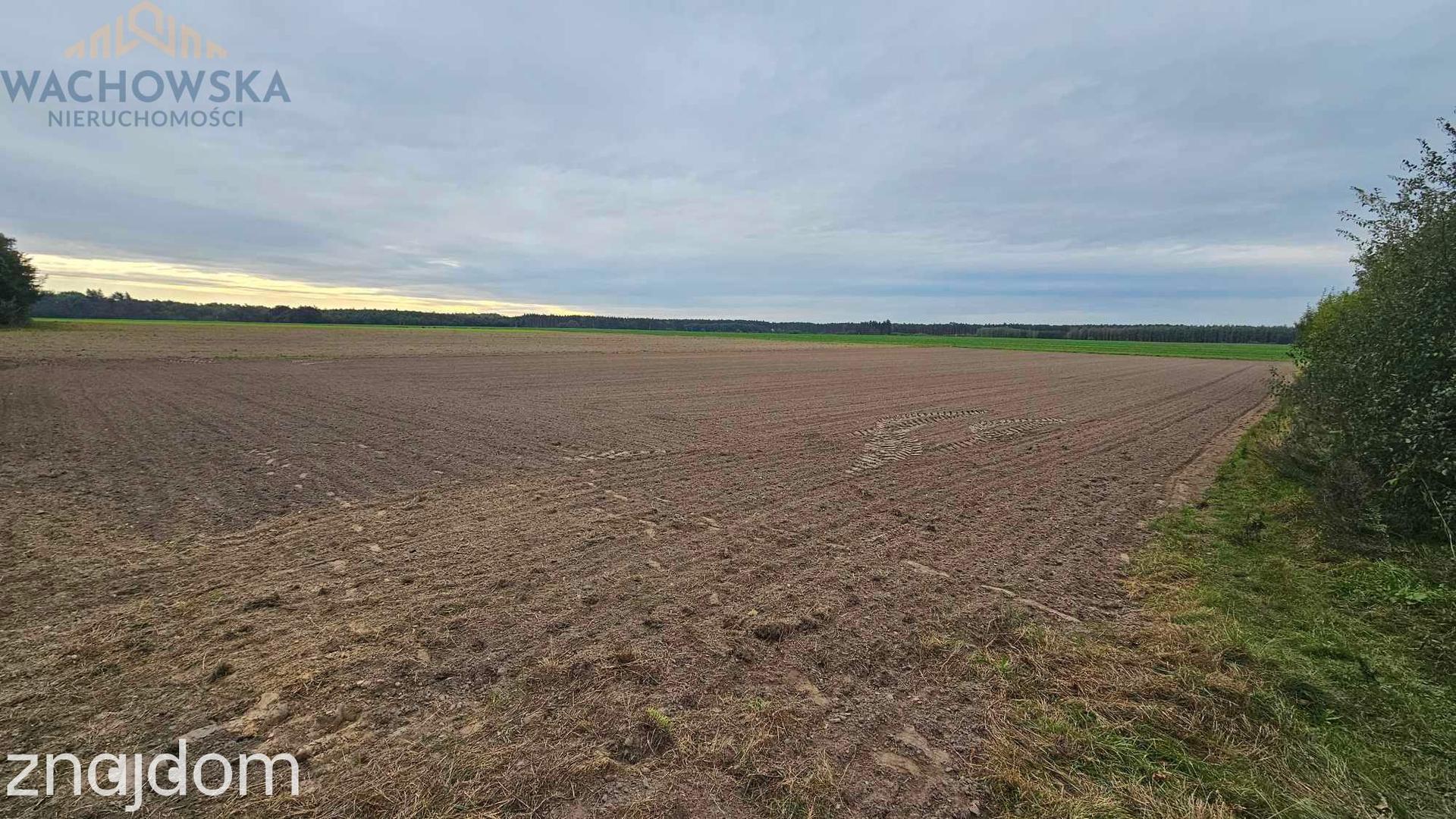 Działka budowlana - Podła Góra, gm. Skąpe - zdjęcie 3