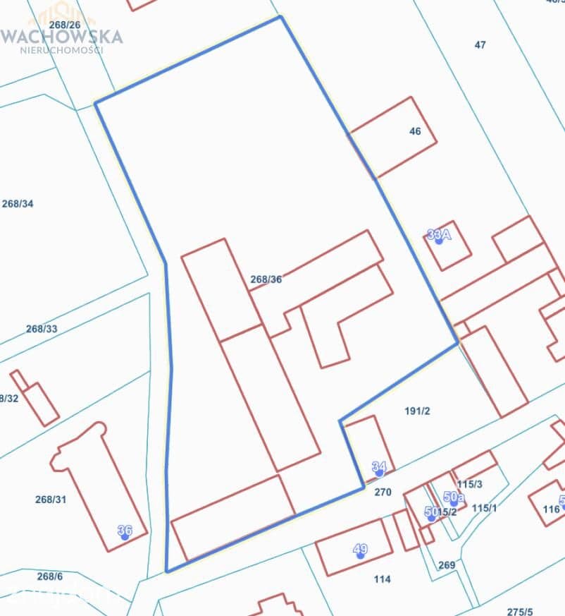 Działka zabudowana z potencjałem inwestycyjnym - zdjęcie 2