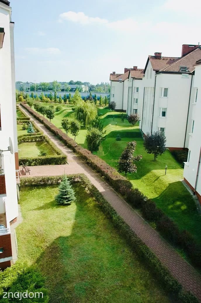 Ciche i komfortowe 5 pokoi w budynku z windą - zdjęcie 12