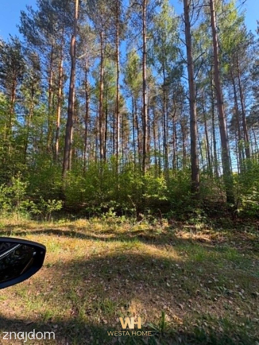 Działka w spokojnej okolicy, Szerominek- Płońsk. - zdjęcie 3