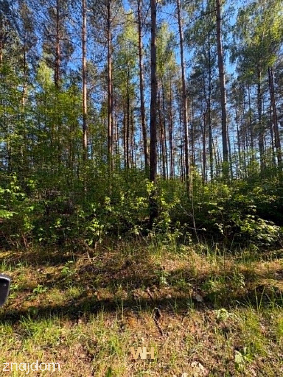 Działka w spokojnej okolicy, Szerominek- Płońsk. - zdjęcie 4