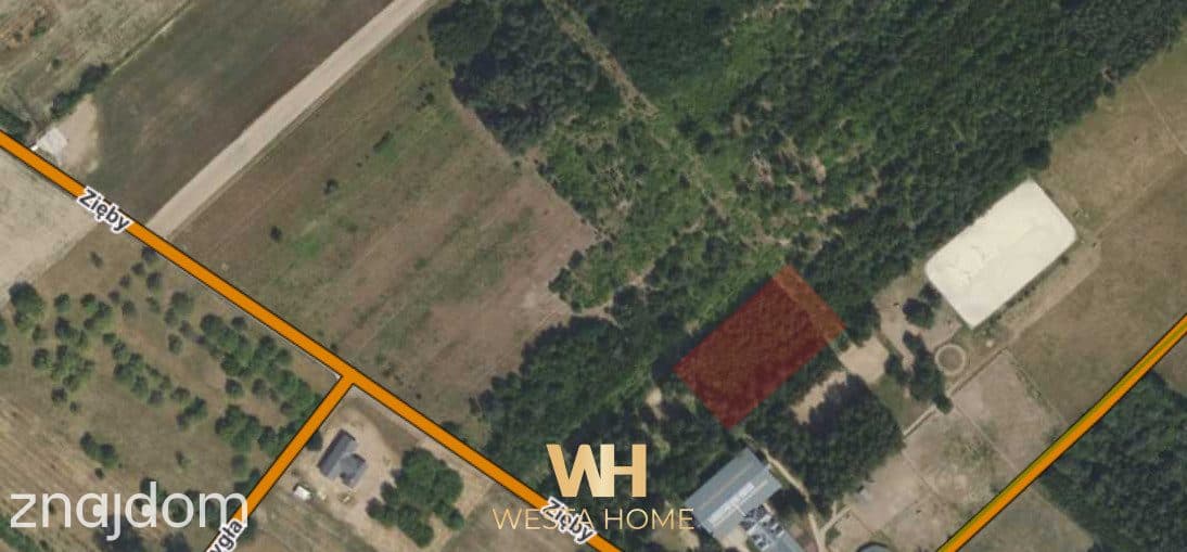 Działka budowlana ** 3000 m2 **, 35 km od Warszawy - zdjęcie 3