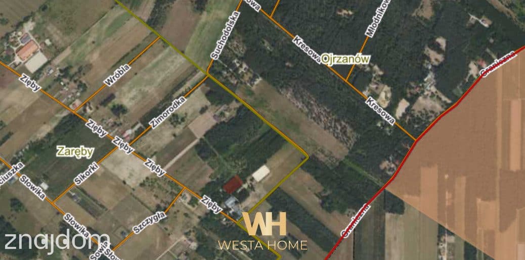 Działka budowlana ** 3000 m2 **, 35 km od Warszawy - zdjęcie 5