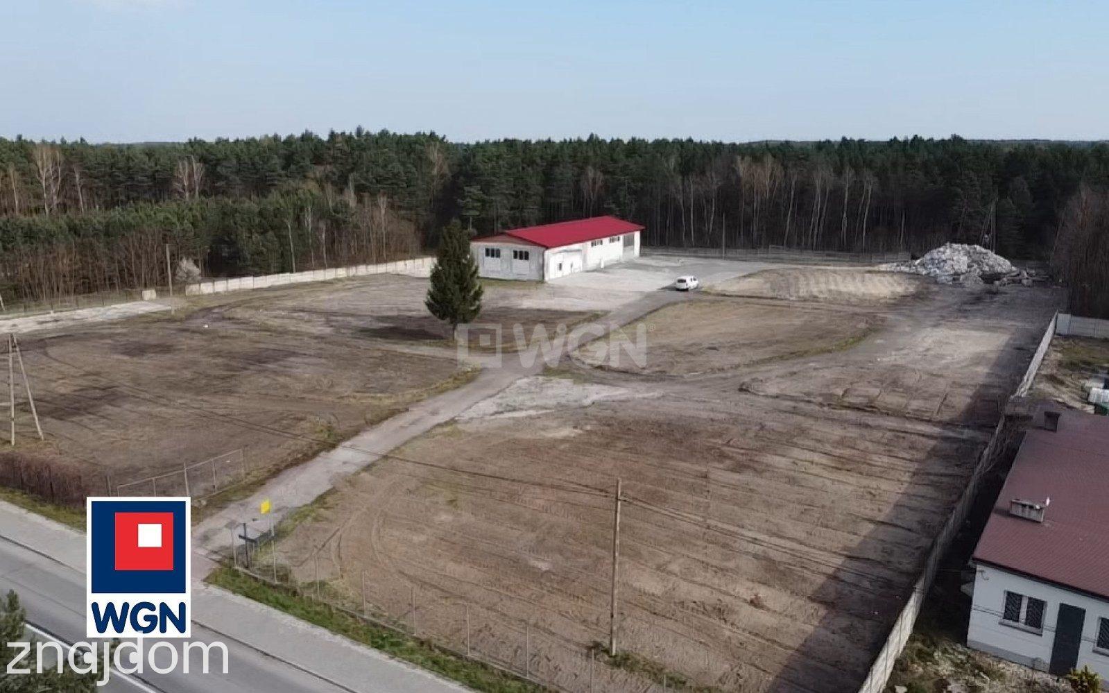 Grunt bez warunków zabudowy na sprzedaż Kurzelów - Kurzelów, działka inwestycyjna z potencjałem, 14115 m2 - zdjęcie 11