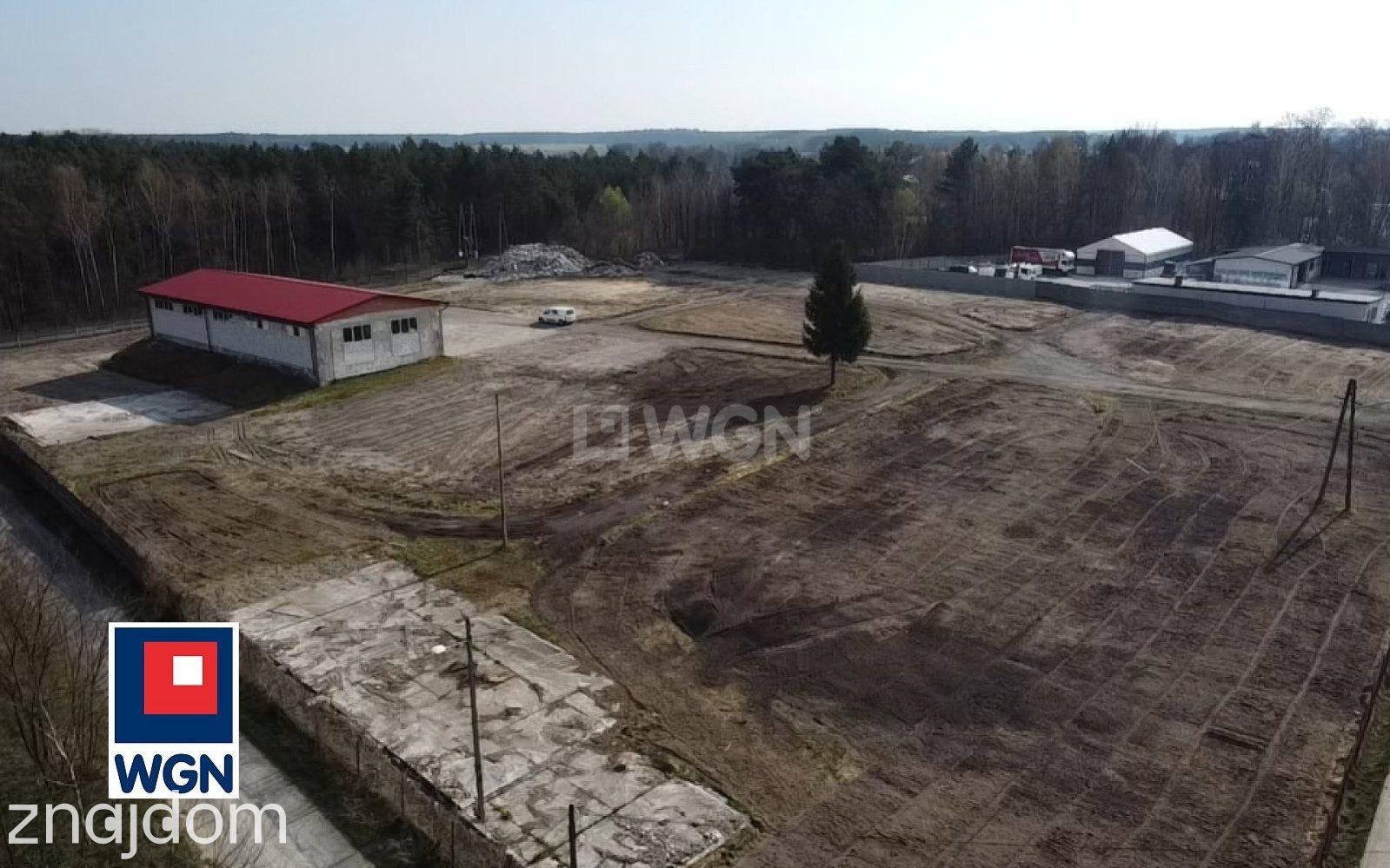 Grunt bez warunków zabudowy na sprzedaż Kurzelów - Kurzelów, działka inwestycyjna z potencjałem, 14115 m2 - zdjęcie 10