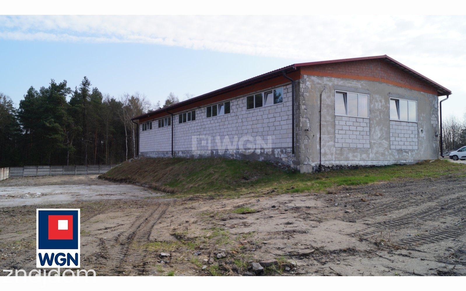 Grunt bez warunków zabudowy na sprzedaż Kurzelów - Kurzelów, działka inwestycyjna z potencjałem, 14115 m2 - zdjęcie 7